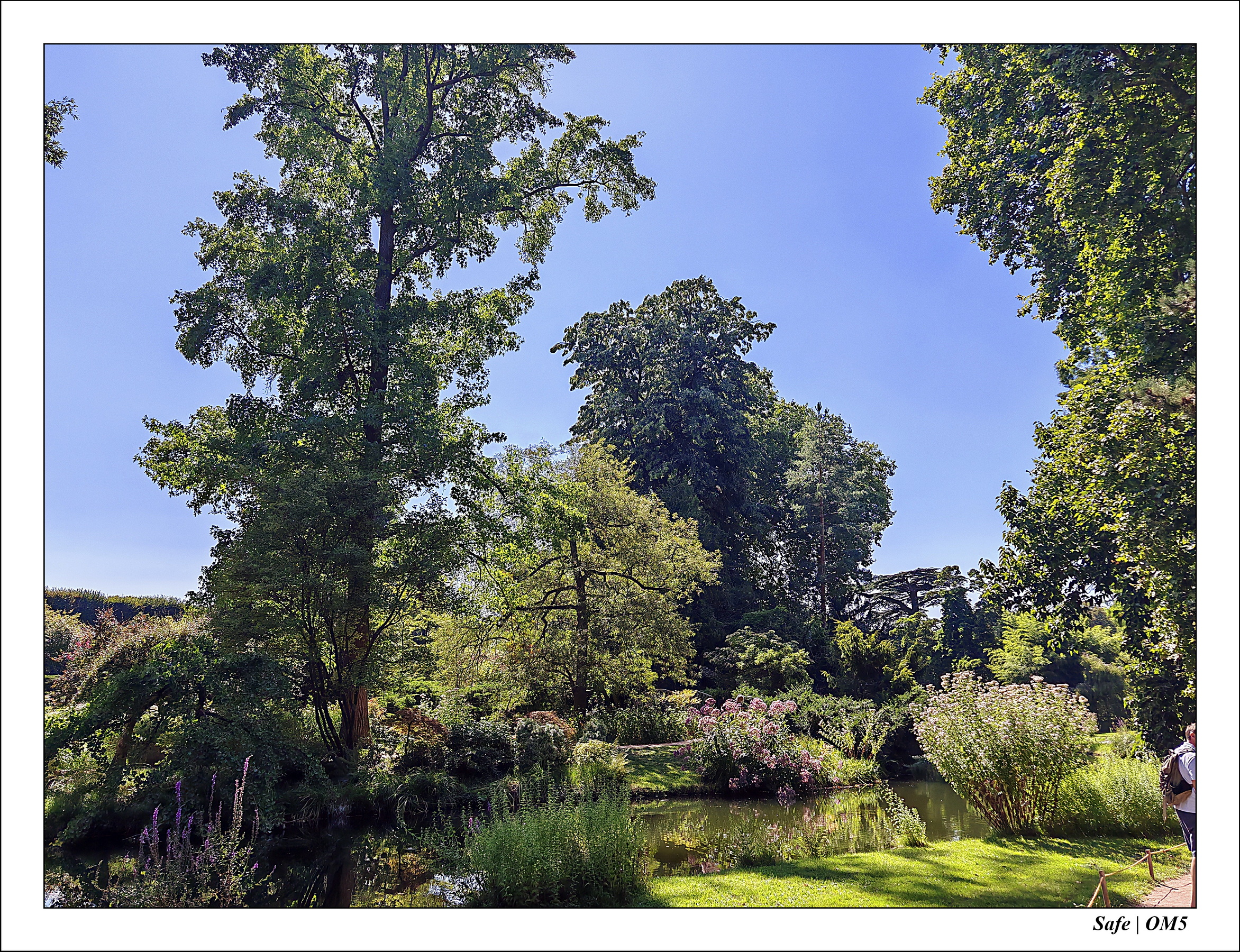 2025 - 08 - Vallée des loups - 31